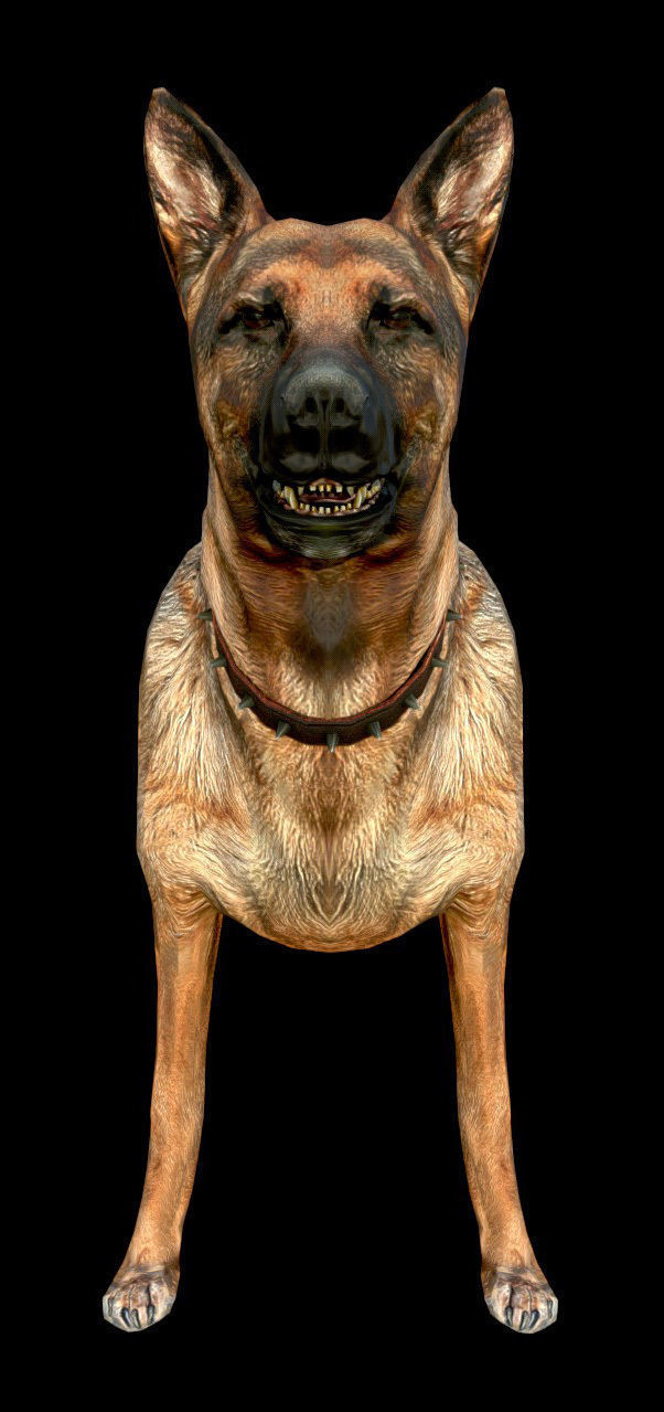 Dog K-9 - PBR - Textured Low-poly 3D model_3