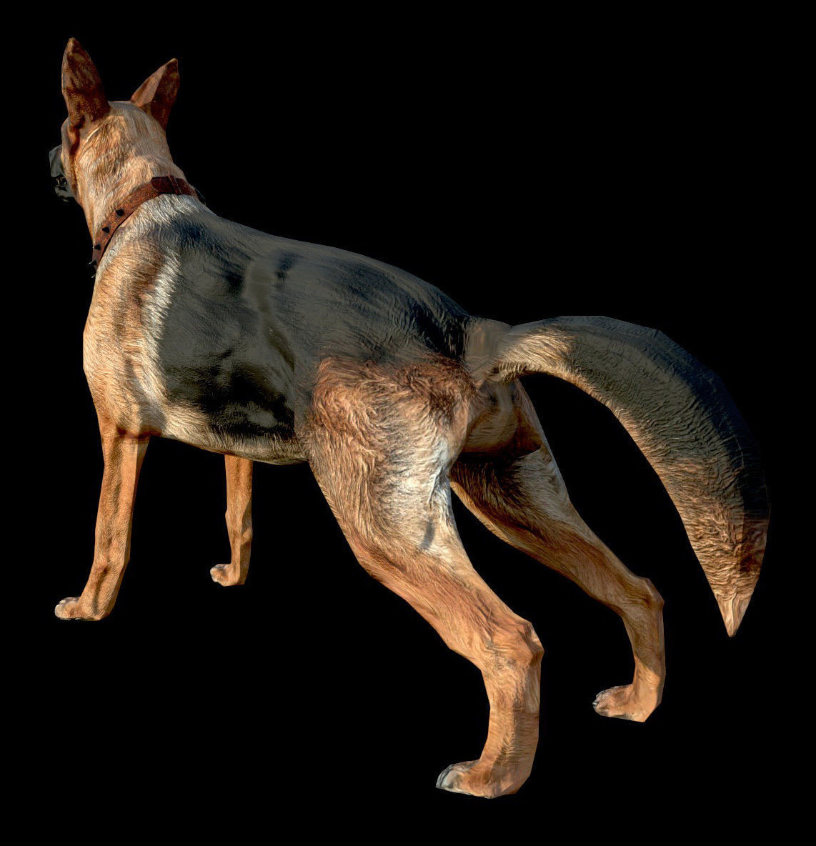 Dog K-9 - PBR - Textured Low-poly 3D model_4