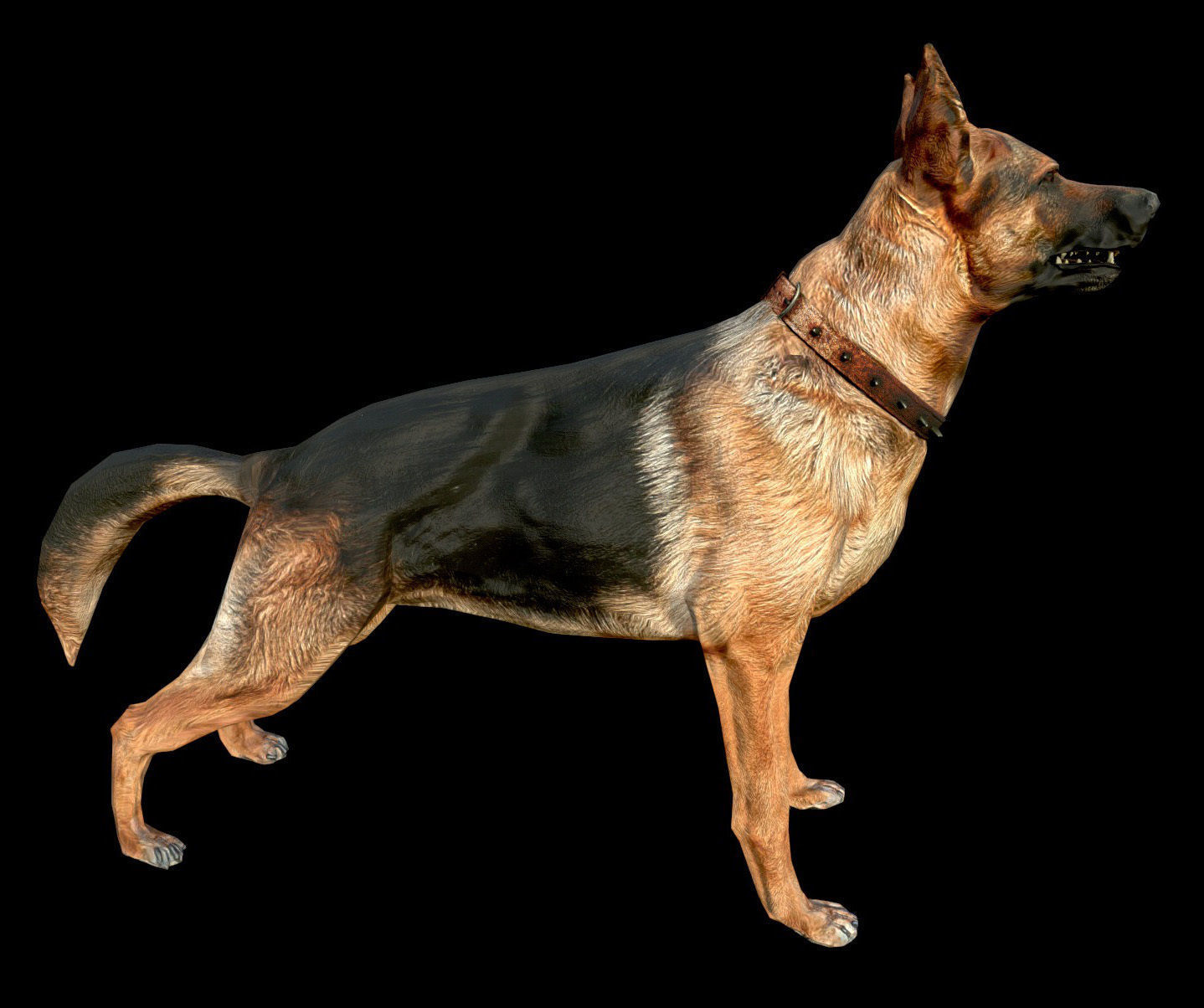 Dog K-9 - PBR - Textured Low-poly 3D model_2
