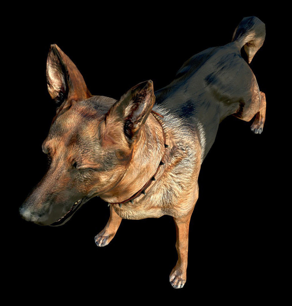 Dog K-9 - PBR - Textured Low-poly 3D model_5