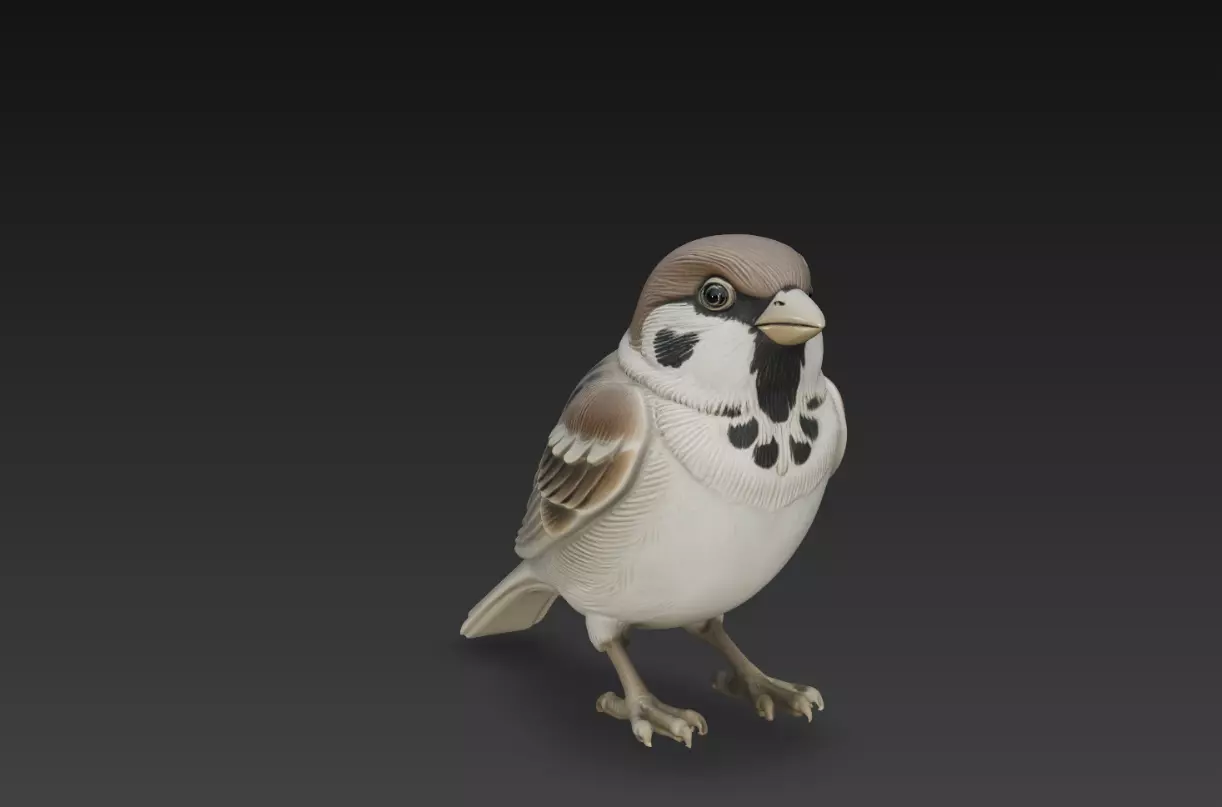 Realistic Sparrow Bird Figurine Detailed Animal STL Model 3D print model