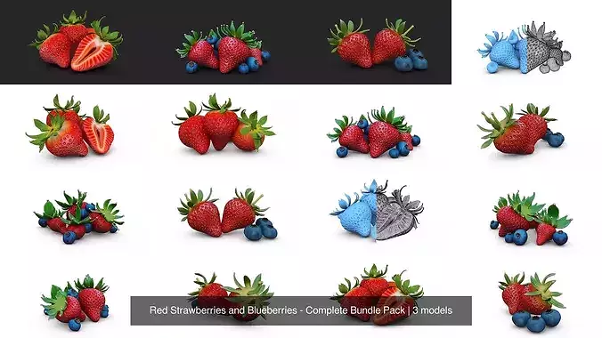 Red Strawberries and Blueberries - Complete Bundle Pack