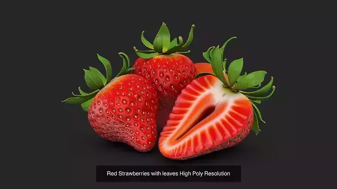 Red Strawberries and Blueberries - Complete Bundle Pack 2