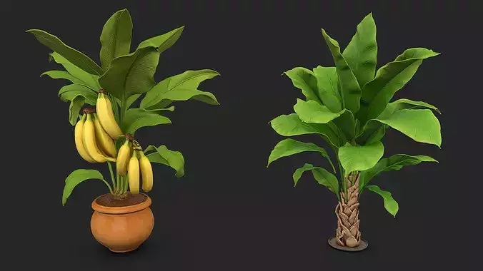 Yellow Banana Plant in Pot - High Poly Tropical Decor
