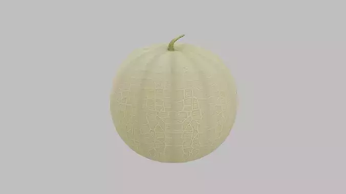Cantaloupe - High Quality 3D Model