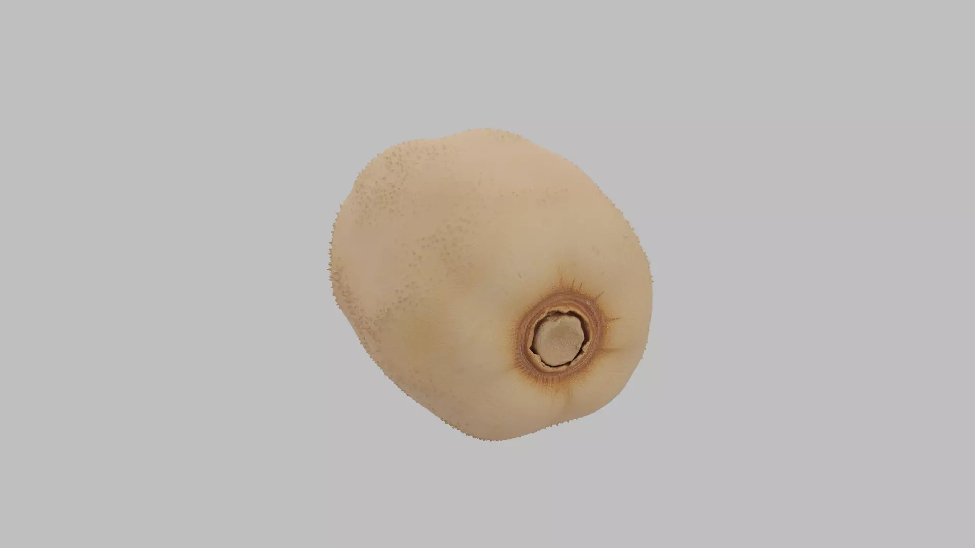 Fuzzy - High Quality 3D Model Low-poly 3D model