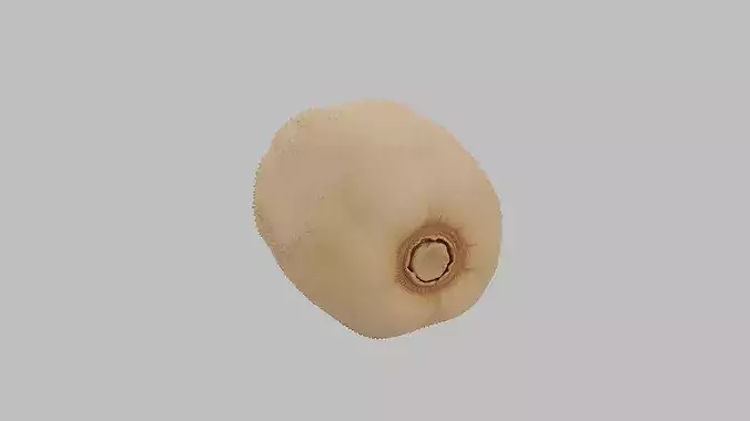 Fuzzy - High Quality 3D Model