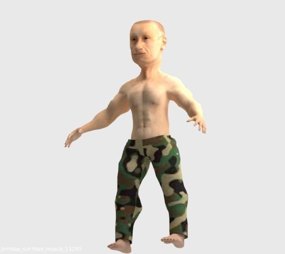 Vlamidir Putin cartoon