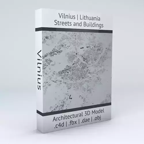 Vilnius Streets and Buildings