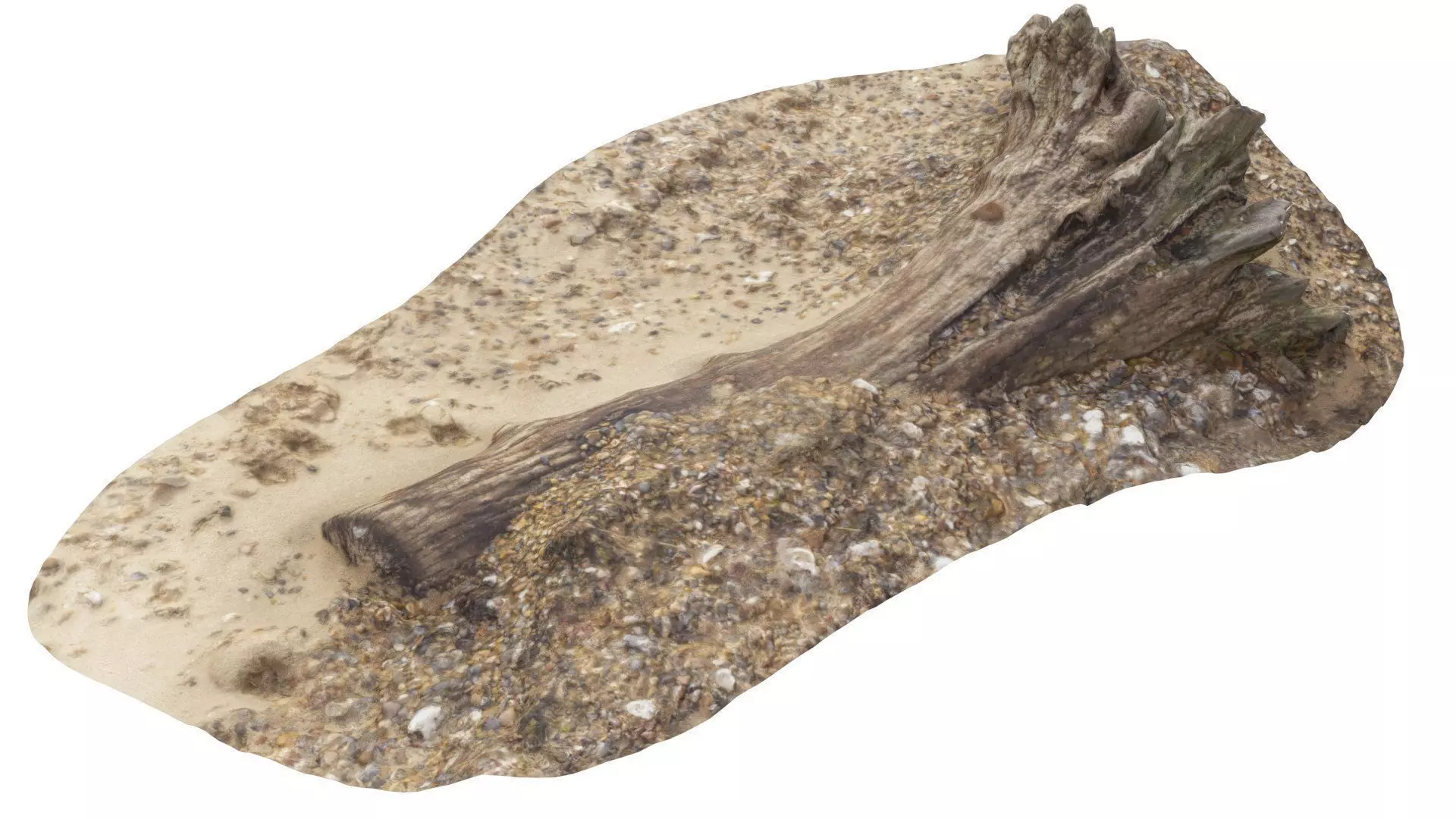 Beach Tree Stump 01 - High and Low Poly versions Low-poly 3D model_0