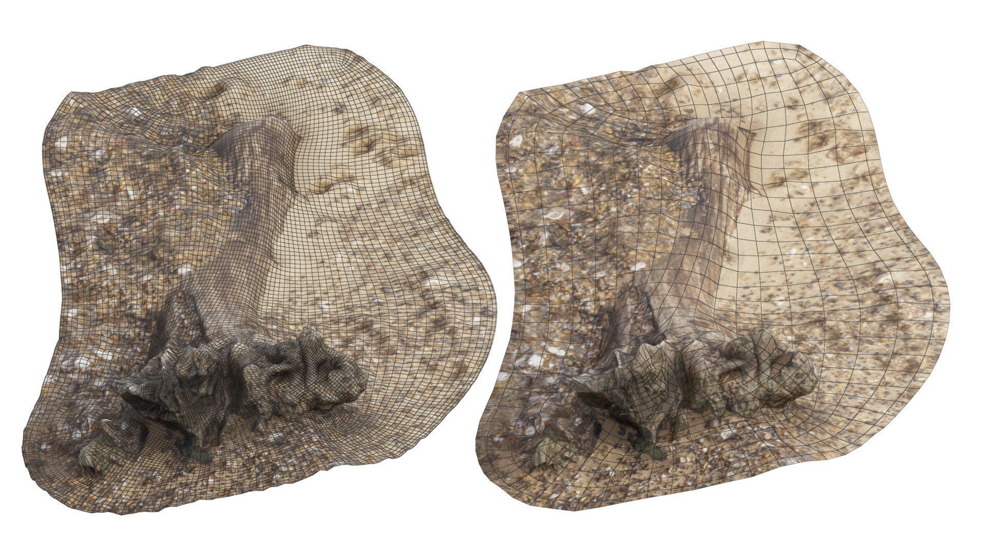 Beach Tree Stump 01 - High and Low Poly versions Low-poly 3D model_10