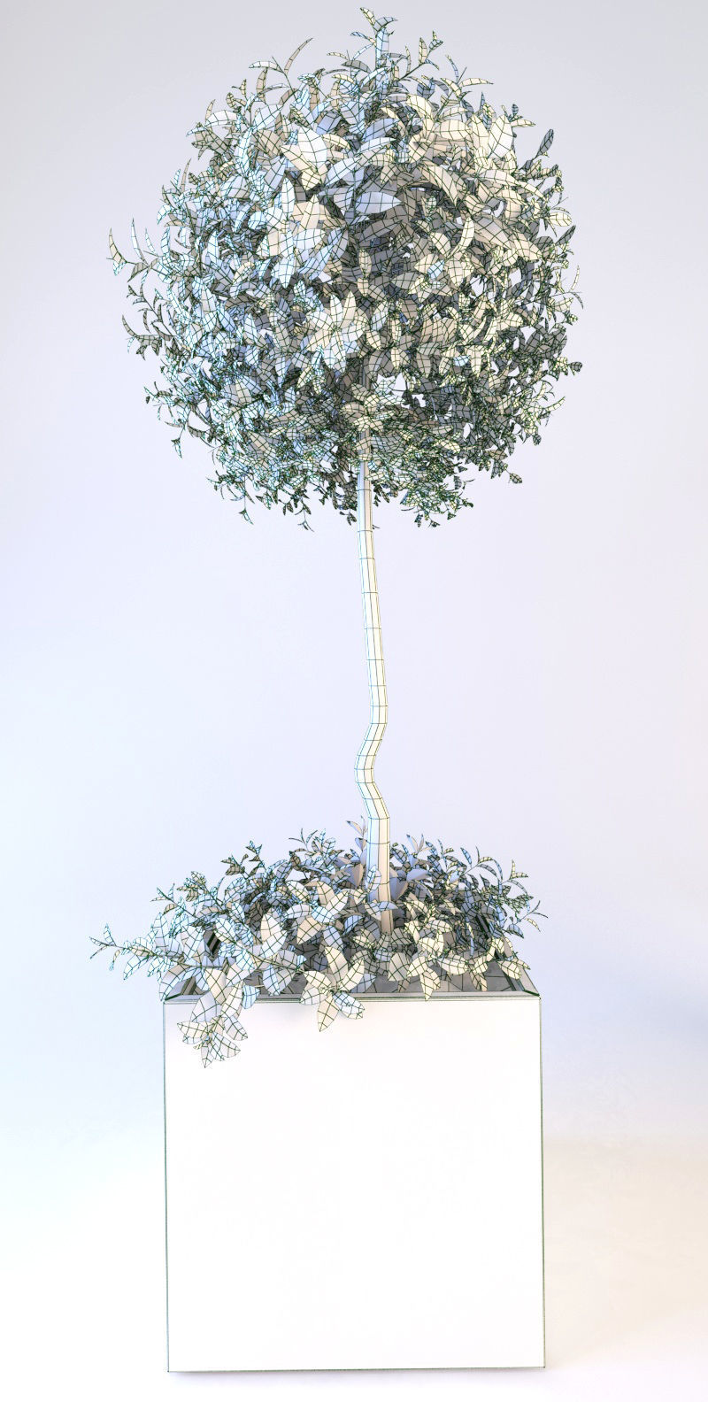 Trees tree in box Low-poly 3D model_7