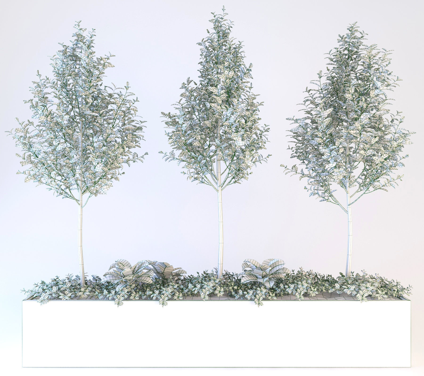 Trees tree in box Low-poly 3D model_8