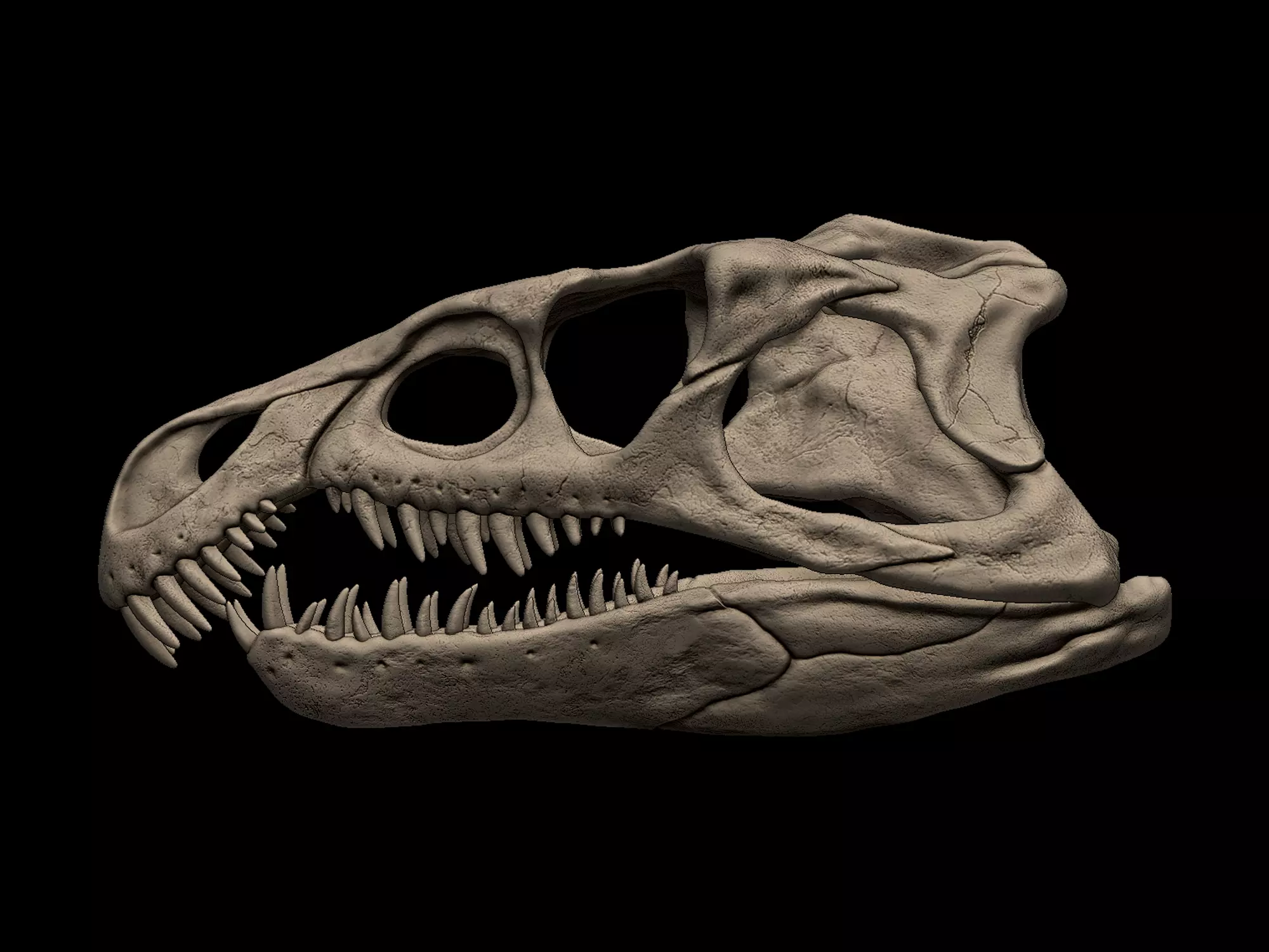 Archosaurus Skull 3D print model