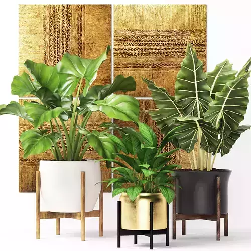 Plants collection pot