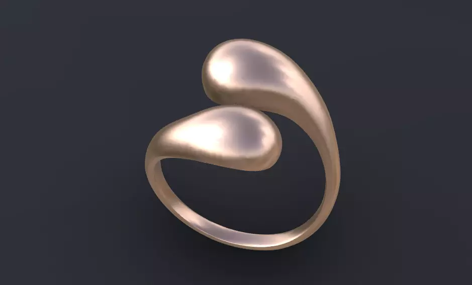 Ring with an asymmetrical shank for CNC or 3D print model