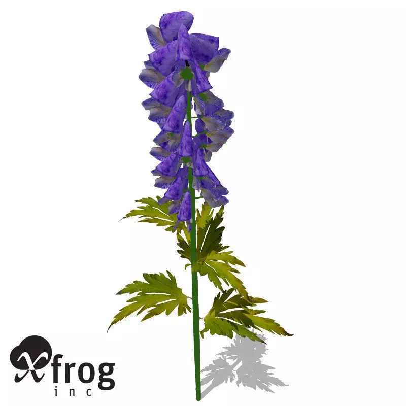 FL23 Delphinium 3D model_0