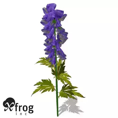 FL23 Delphinium 3D model