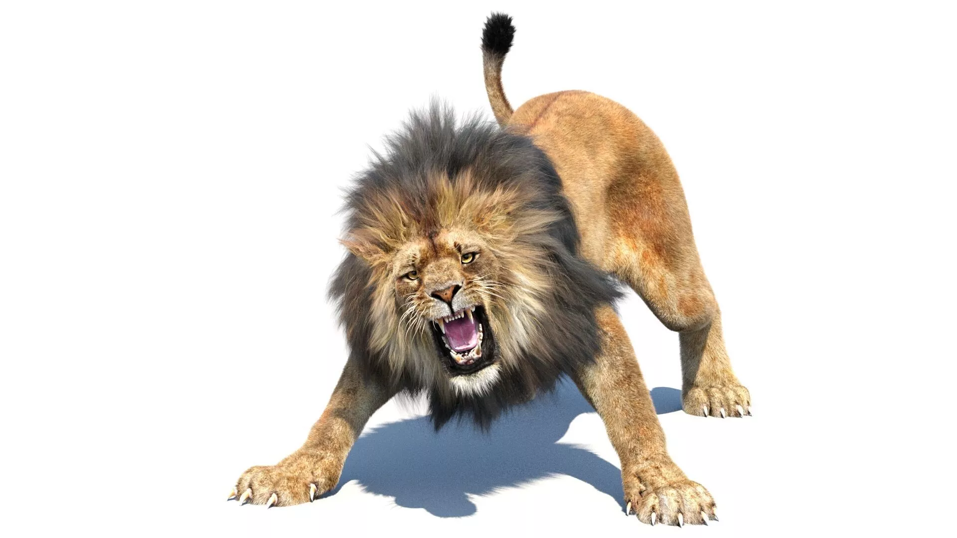 Animated Lion Fur 3D model
