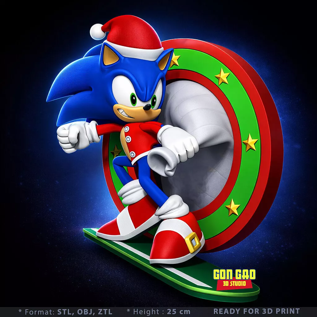 Holiday Rush Sonic 3D print model
