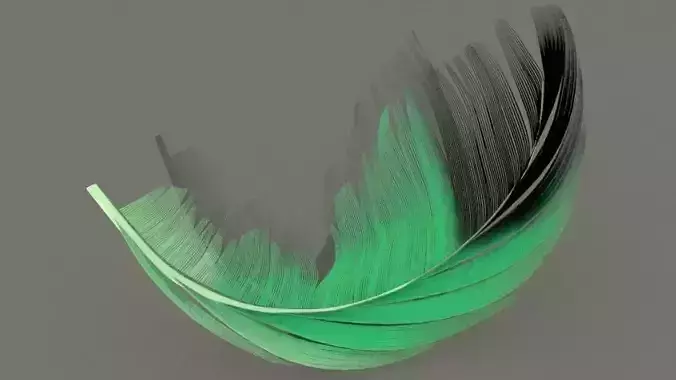 feather