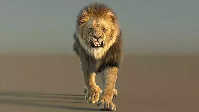 Animated Lion with Fur