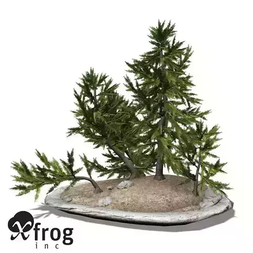 XfrogPlants Japanese White Larch - Bonsai 3D model