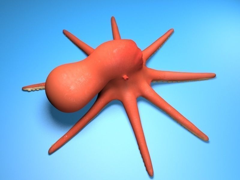 cartoon rigged characters Low-poly 3D model_11