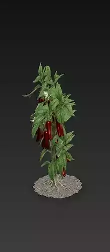 Chillies Plant 3D Model 3D print model 6