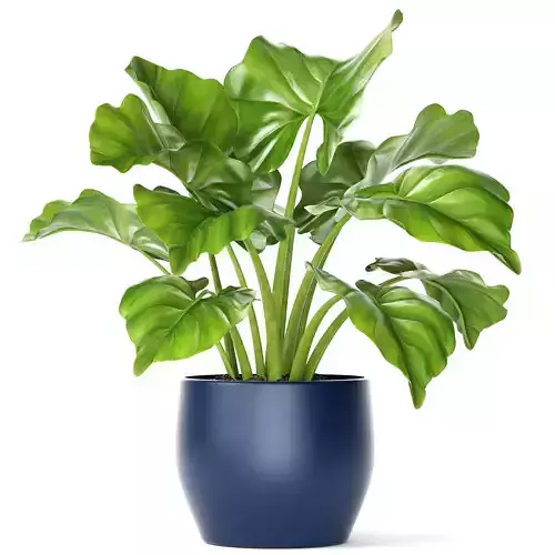 Plant pot 3D model