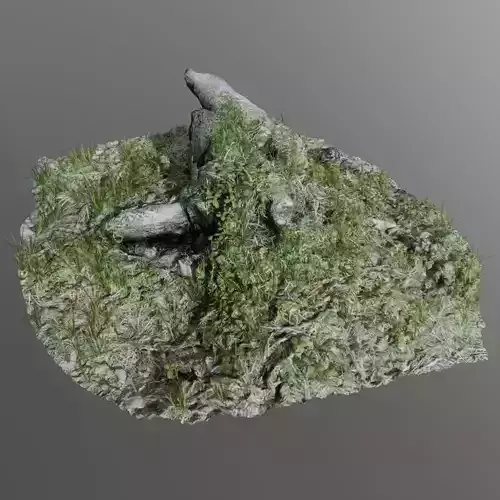 3d scanned tree stump 02