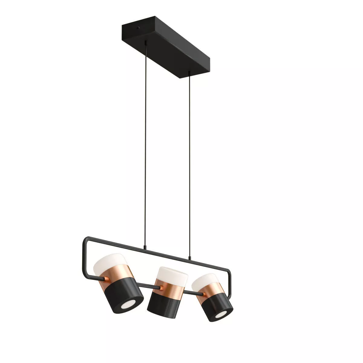Ling PL3 3D model