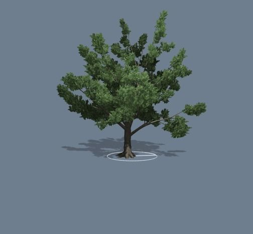 Simple Tree 01 Low-poly 3D model