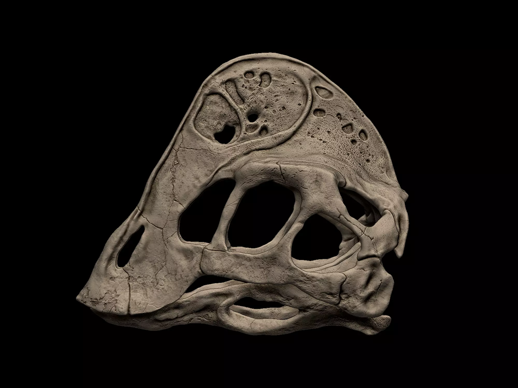 Anzu Skull 3D print model
