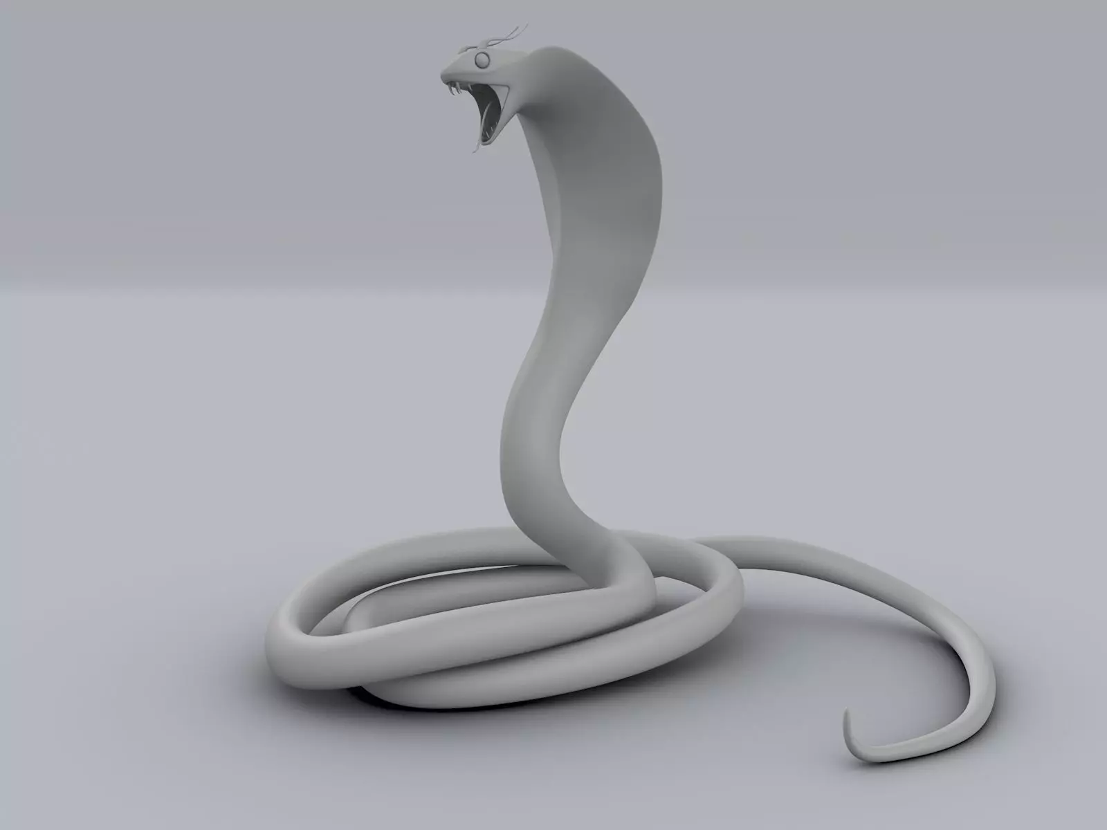 Cobra Snake 3D model_0