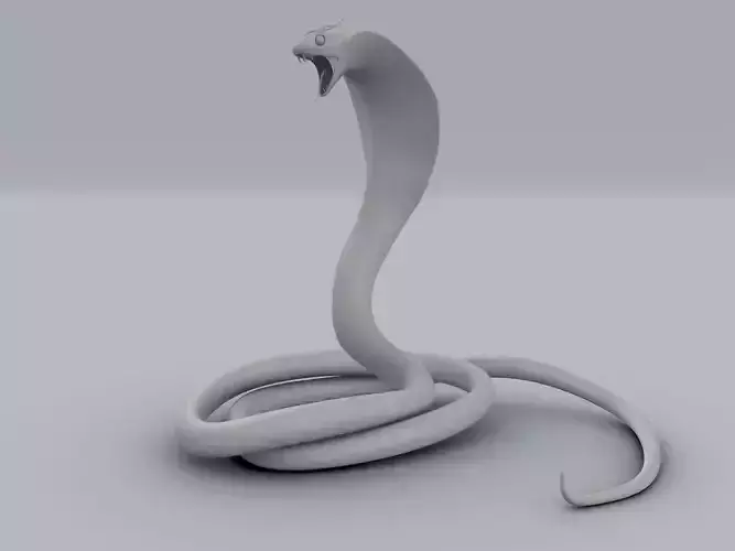 Cobra Snake 3D model