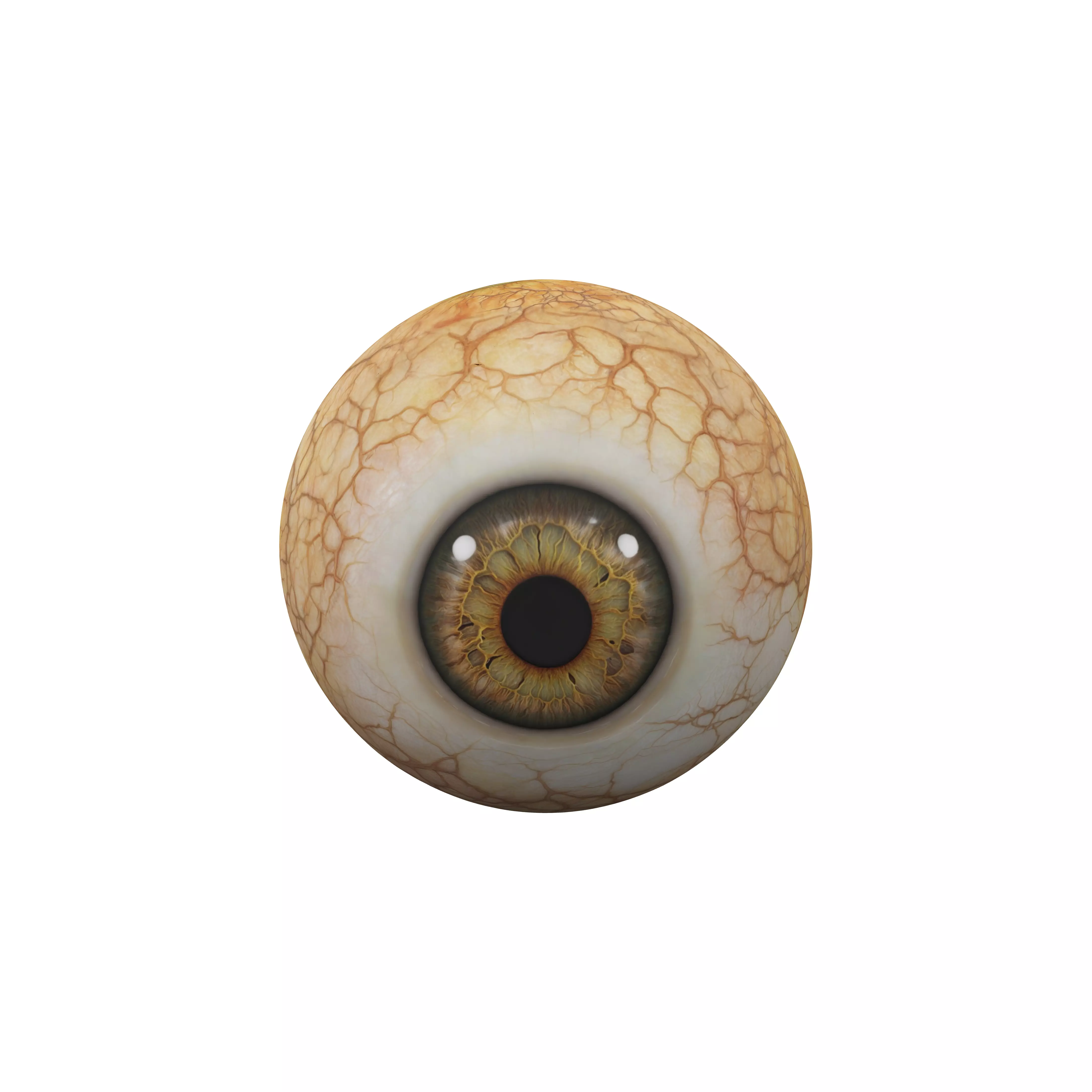 Vision Sphere 3D model