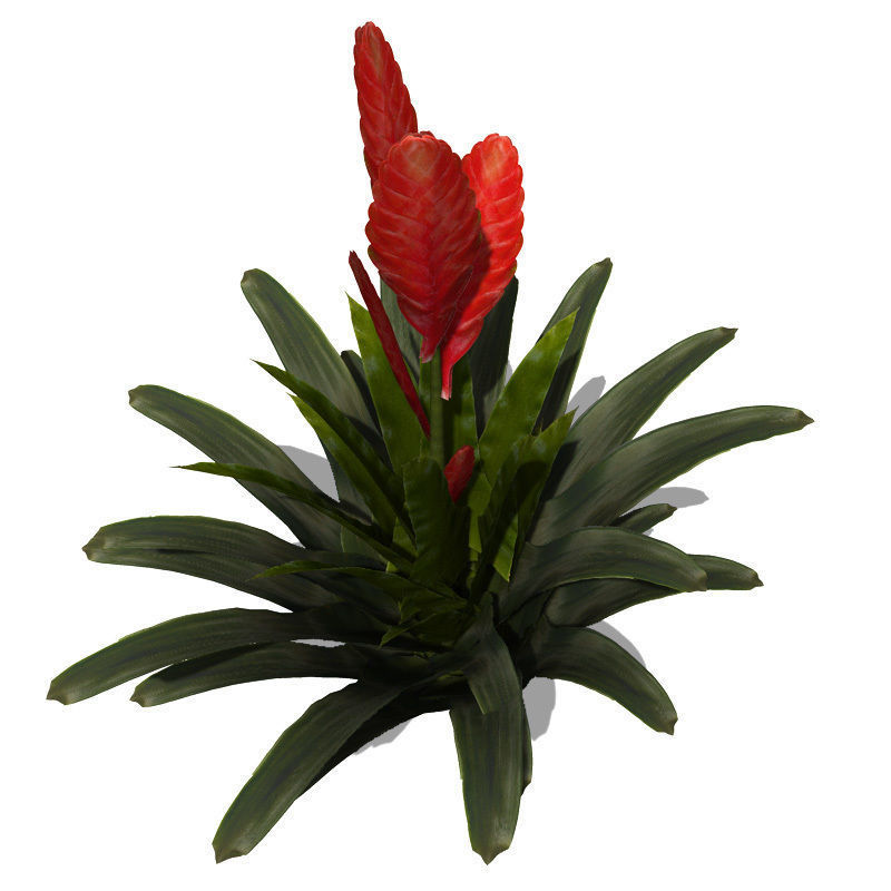 XfrogPlants Flaming Sword 3D model_1