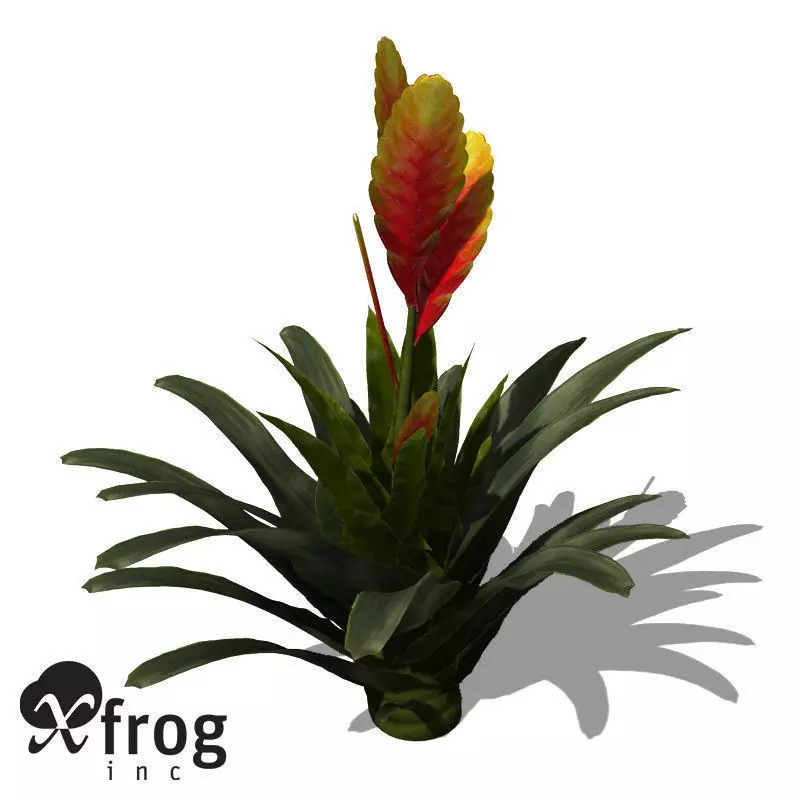 XfrogPlants Flaming Sword 3D model_0