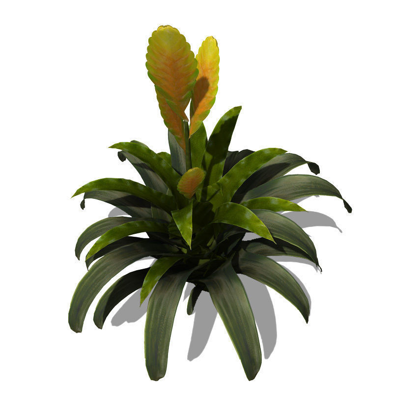 XfrogPlants Flaming Sword 3D model_2