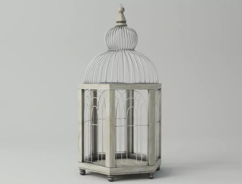 Hexi Decorative Cage by ZARA HOME 3D model_0