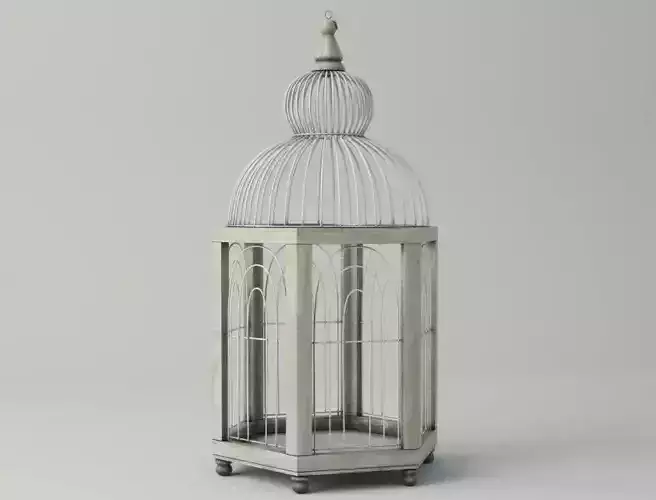 Hexi Decorative Cage by ZARA HOME 3D model