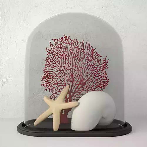 Oval Sea Life Glass Dome