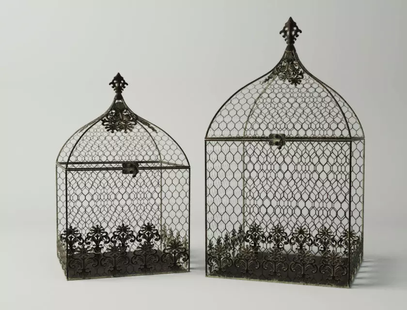 Square Birdcages 3D model_0