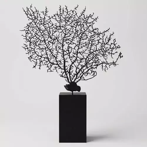 Black Gorgonaria Decoration 3D model