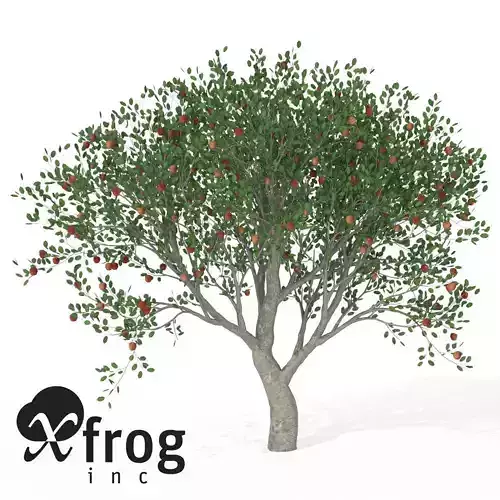 XfrogPlants Apple