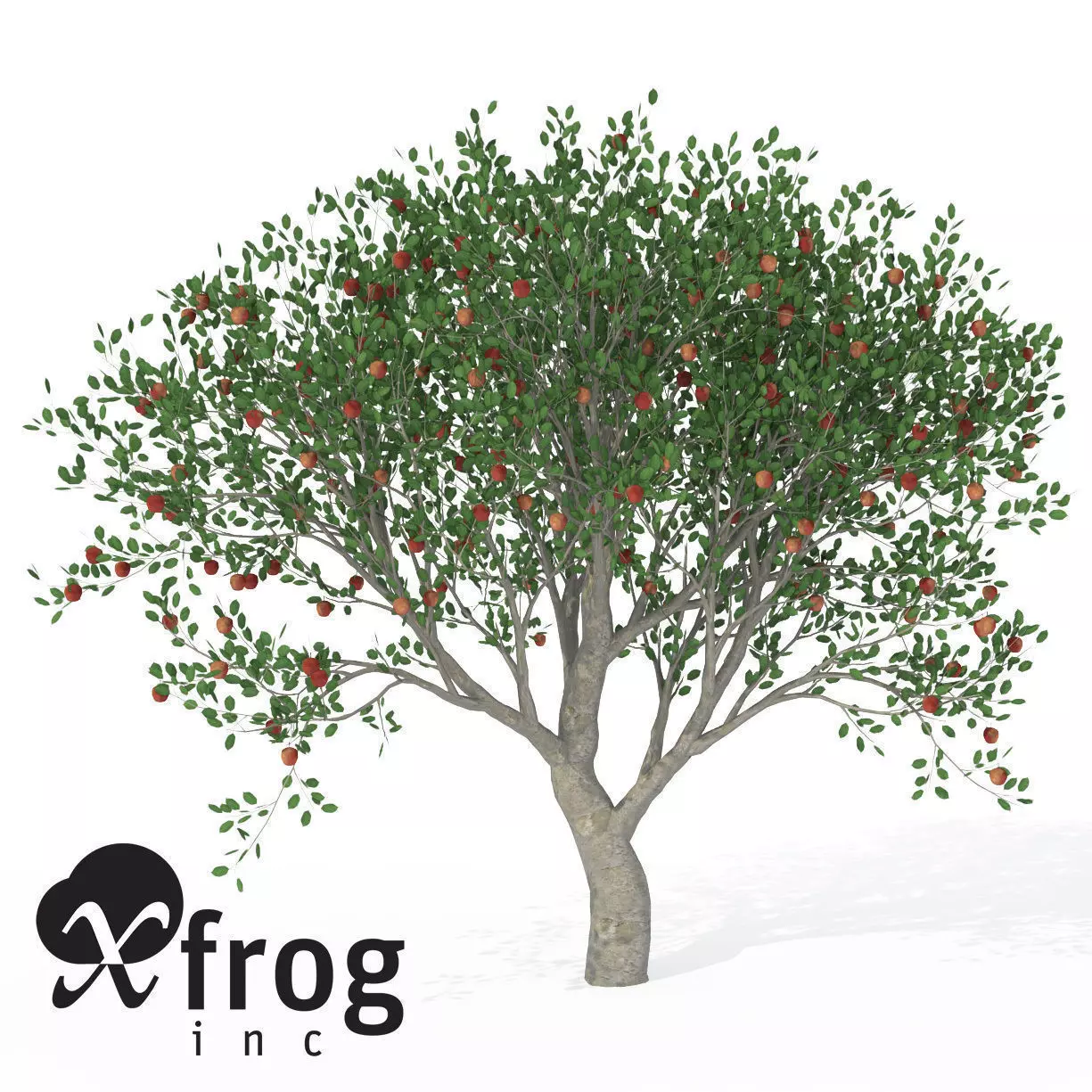XfrogPlants Apple 3D model_0
