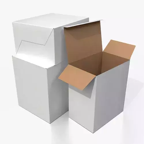 Tuck Top Box - White Tall Rectangular Packaging Box