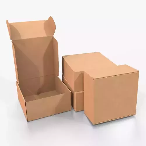Mailer Box - Medium