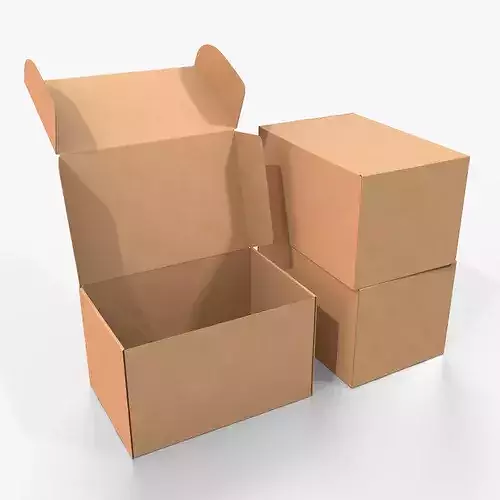 Mailer Box - Large